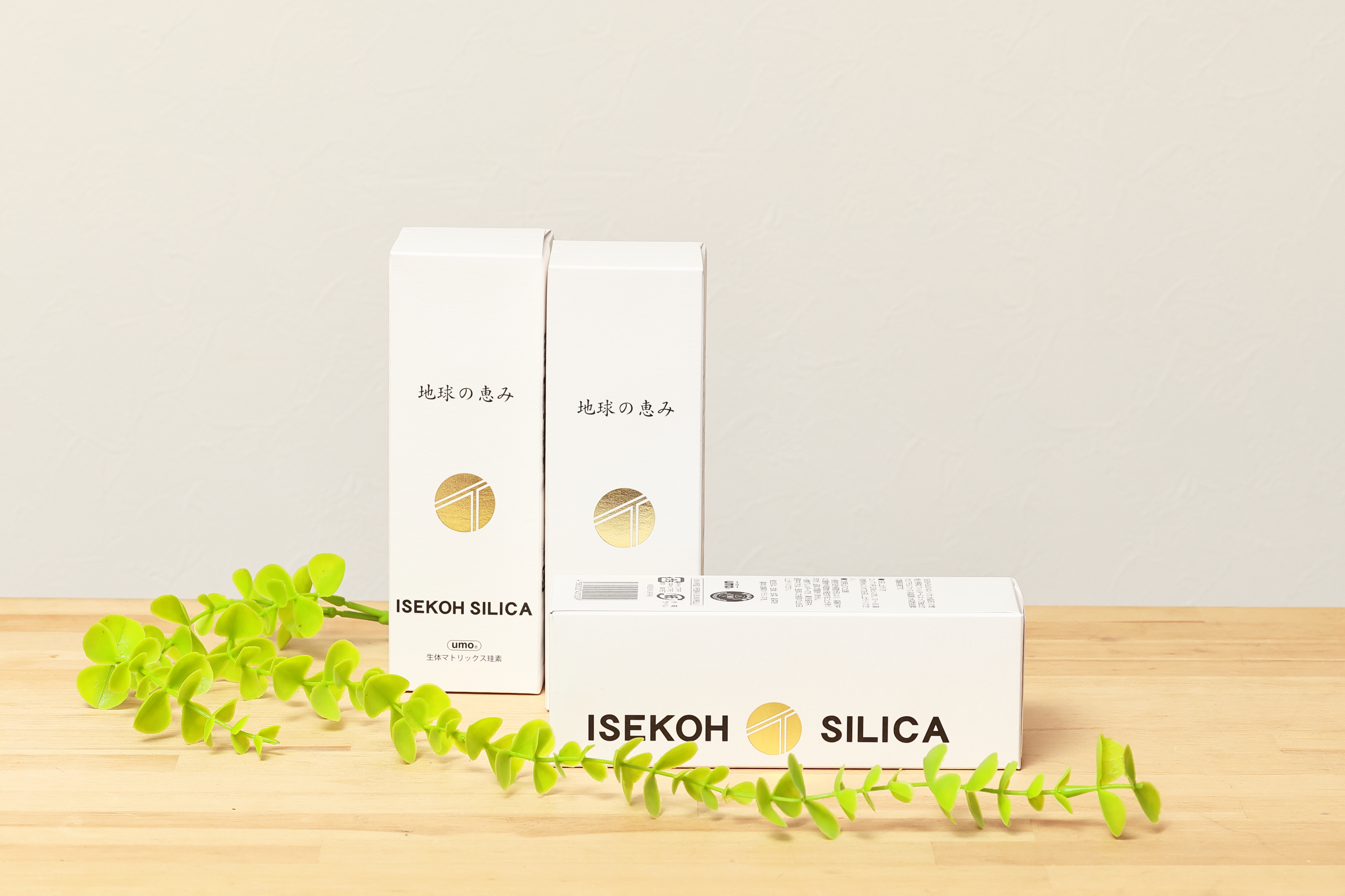 地球の恵みケイ素（大）