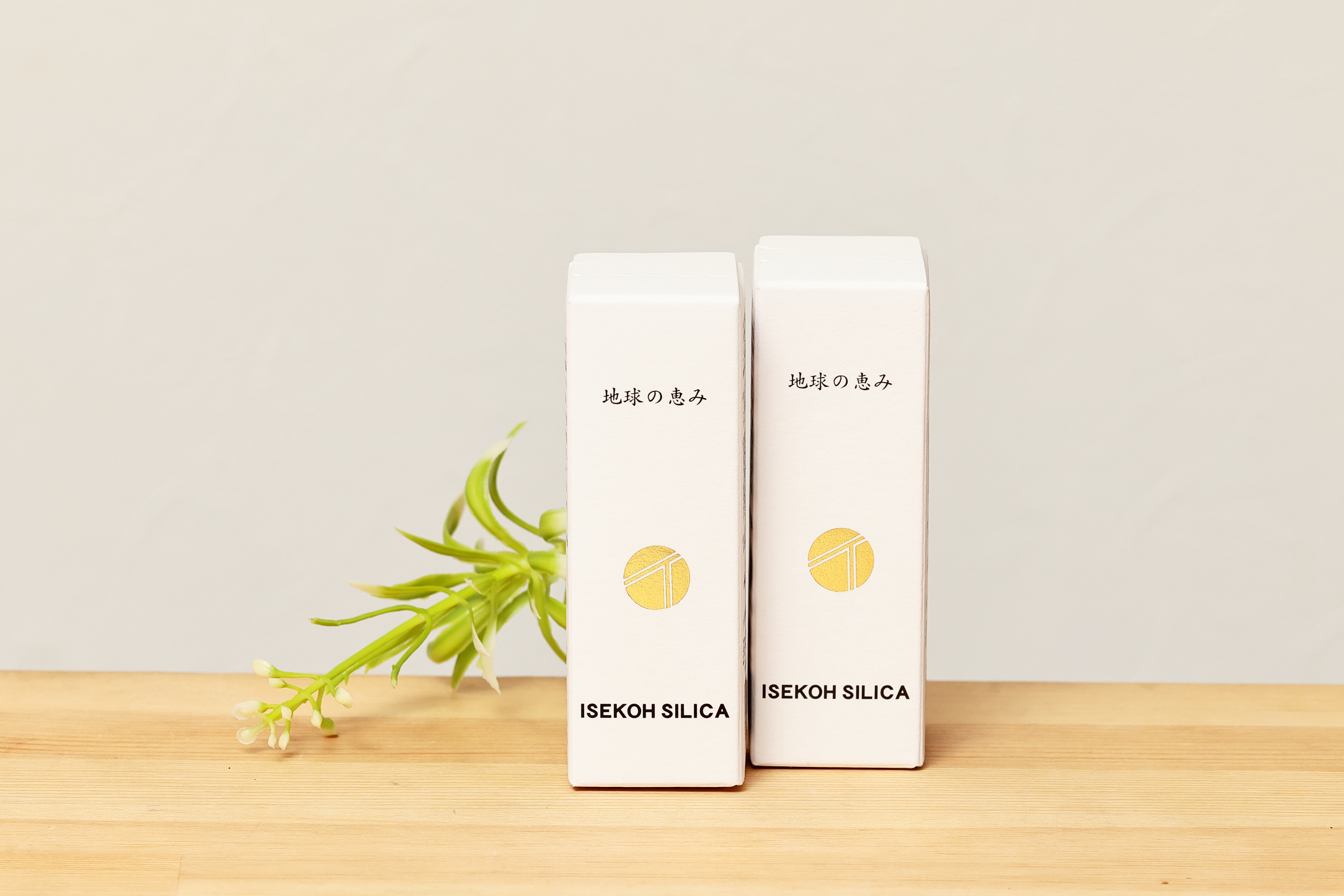 地球の恵みケイ素（小）