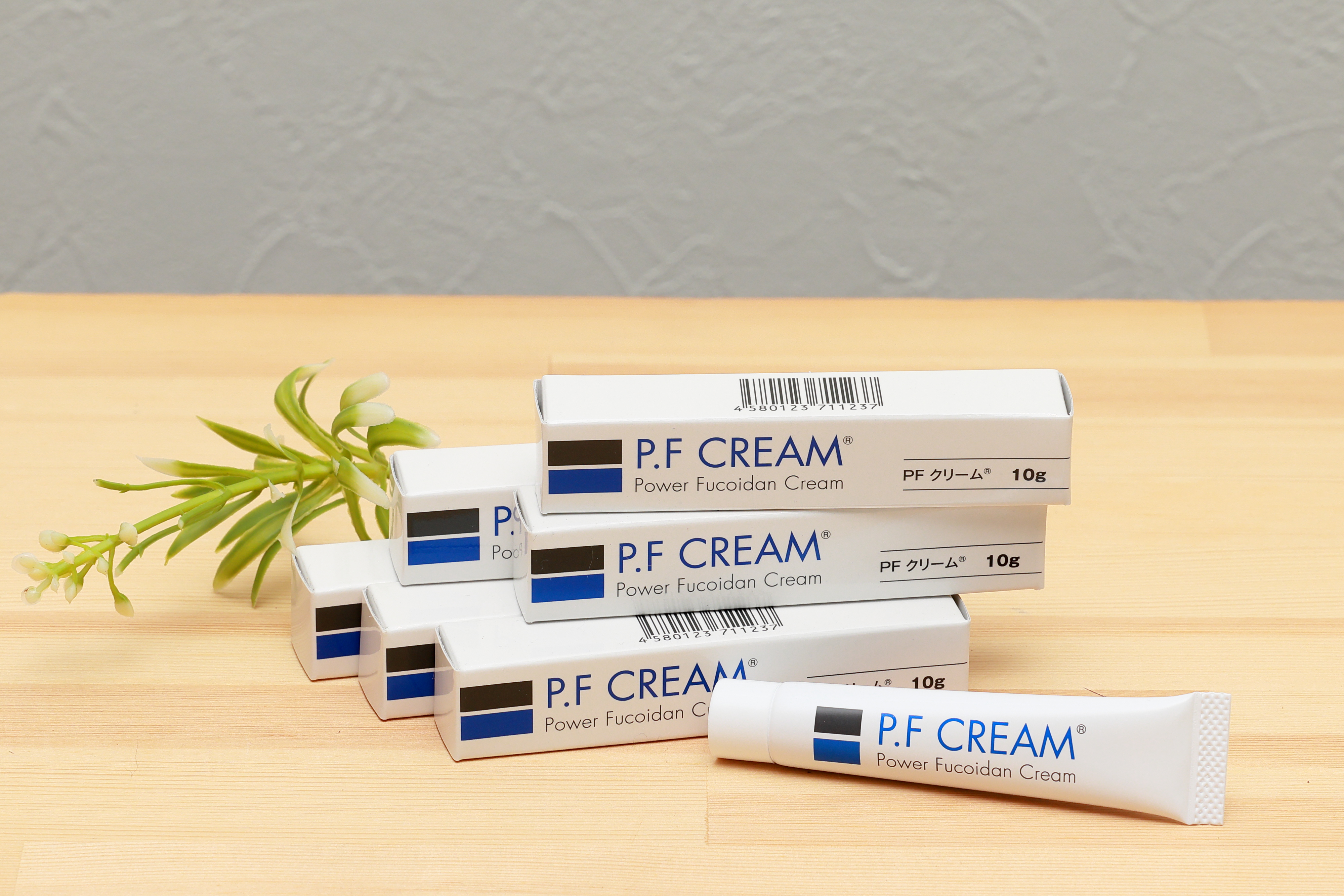 フコイダンクリーム 10g チューブ入
